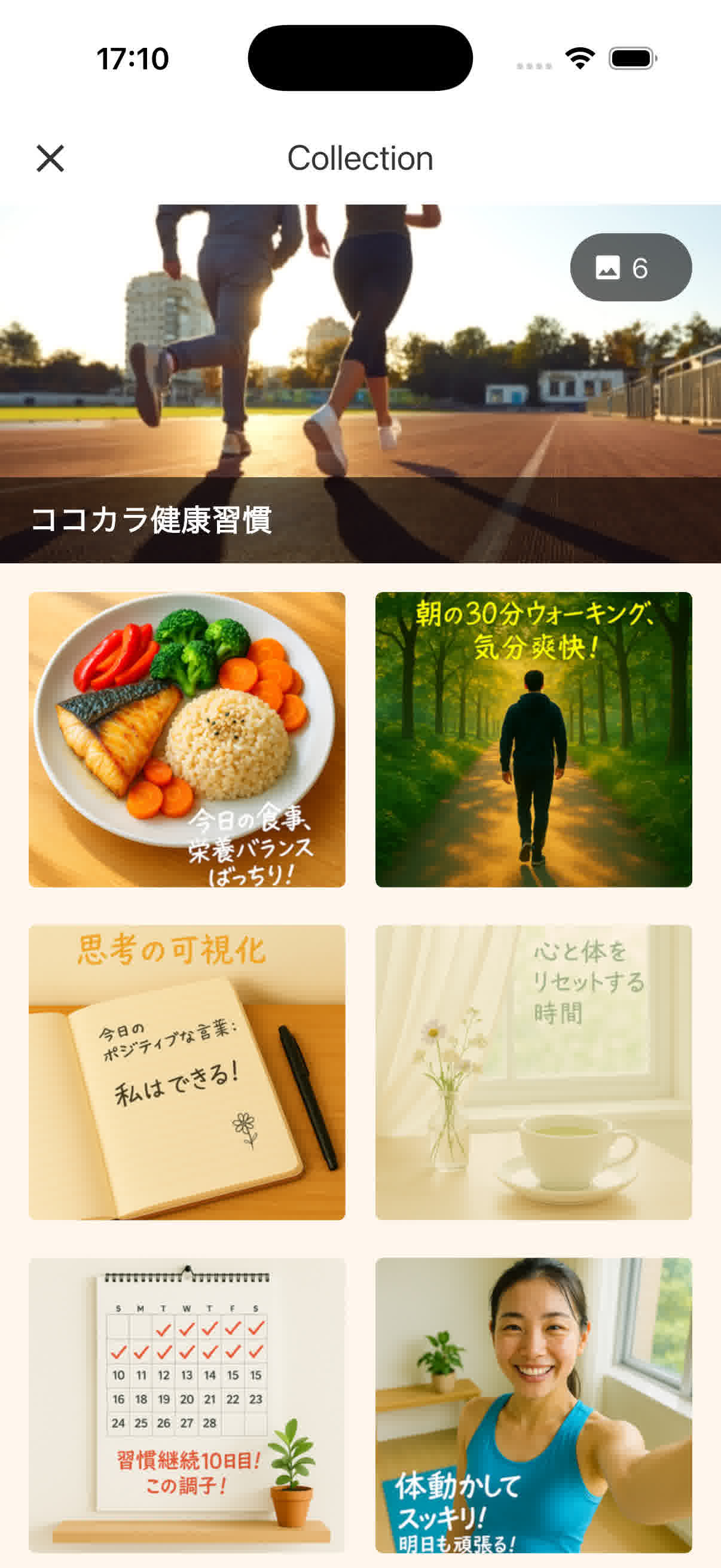 コレクション
